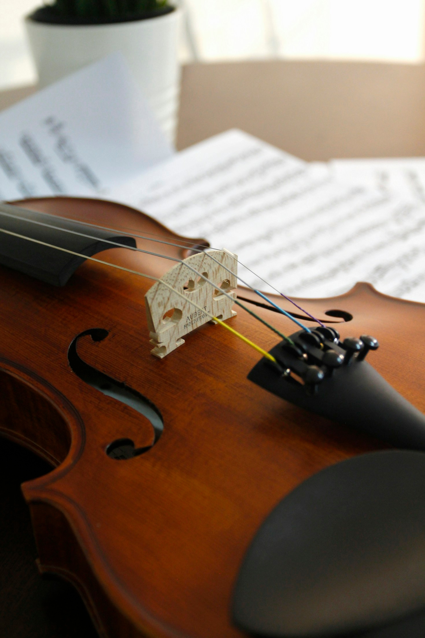 Profiles of Legendary Musicians From Our Past